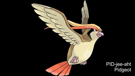 pidgeot pronunciation